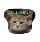 ニャンちゃって（個別スタンプ：6）