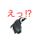 海のせいぶつ（個別スタンプ：2）