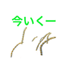 海のせいぶつ（個別スタンプ：3）