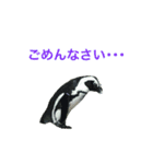 海のせいぶつ（個別スタンプ：4）