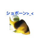 海のせいぶつ（個別スタンプ：7）