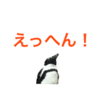 海のせいぶつ（個別スタンプ：10）