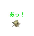 海のせいぶつ（個別スタンプ：11）