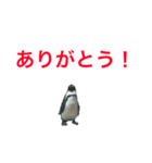 海のせいぶつ（個別スタンプ：14）