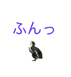 海のせいぶつ（個別スタンプ：15）