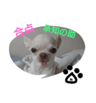 くぅ～ちゃん（個別スタンプ：1）