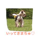 ここちゃんの日記 1（個別スタンプ：9）