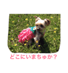 ここちゃんの日記 1（個別スタンプ：17）