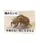 蝉の抜け殻の日常（個別スタンプ：7）