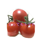 癒しのケア（個別スタンプ：1）