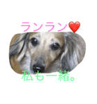 癒しのケア（個別スタンプ：3）