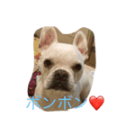 癒しのケア（個別スタンプ：4）