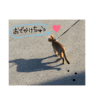 てんの日常3（個別スタンプ：12）