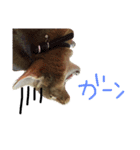 てんの日常3（個別スタンプ：13）