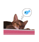 てんの日常3（個別スタンプ：32）
