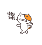 Shocked Cat in motion（個別スタンプ：13）