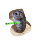 ハムちゃんとみーちゃん（個別スタンプ：1）