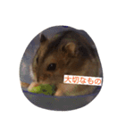 ハムちゃんとみーちゃん（個別スタンプ：16）