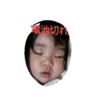 はやたんたん2（個別スタンプ：7）