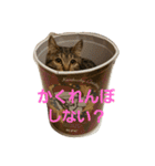 りりぃ（個別スタンプ：2）