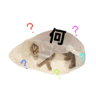 りりぃ（個別スタンプ：3）