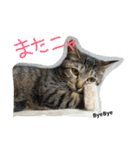 りりぃ（個別スタンプ：12）