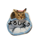 りりぃ（個別スタンプ：14）