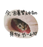 りりぃ（個別スタンプ：21）
