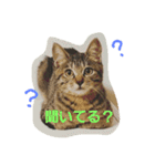 りりぃ（個別スタンプ：23）