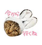 りりぃ（個別スタンプ：25）