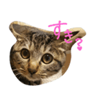 りりぃ（個別スタンプ：31）