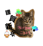りりぃ（個別スタンプ：38）