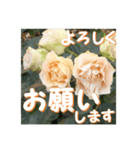 薔薇の花♡Antique Lace_挨拶メッセージ（個別スタンプ：2）