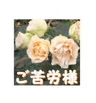 薔薇の花♡Antique Lace_挨拶メッセージ（個別スタンプ：4）