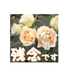 薔薇の花♡Antique Lace_挨拶メッセージ（個別スタンプ：5）