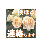 薔薇の花♡Antique Lace_挨拶メッセージ（個別スタンプ：9）