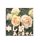 薔薇の花♡Antique Lace_挨拶メッセージ（個別スタンプ：12）
