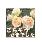 薔薇の花♡Antique Lace_挨拶メッセージ（個別スタンプ：13）