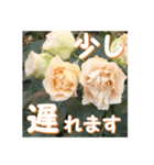 薔薇の花♡Antique Lace_挨拶メッセージ（個別スタンプ：14）