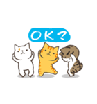 The four talking cats（個別スタンプ：4）
