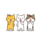 The four talking cats（個別スタンプ：14）