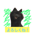 ロコちゃんの日常（個別スタンプ：1）