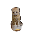 ウチのペットとかいろいろ（個別スタンプ：20）