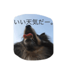 maaam（個別スタンプ：2）