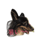 maaam（個別スタンプ：3）
