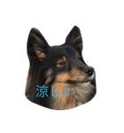maaam（個別スタンプ：5）