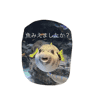 maaam（個別スタンプ：6）