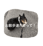 maaam（個別スタンプ：9）
