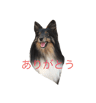 maaam（個別スタンプ：11）