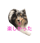 maaam（個別スタンプ：15）